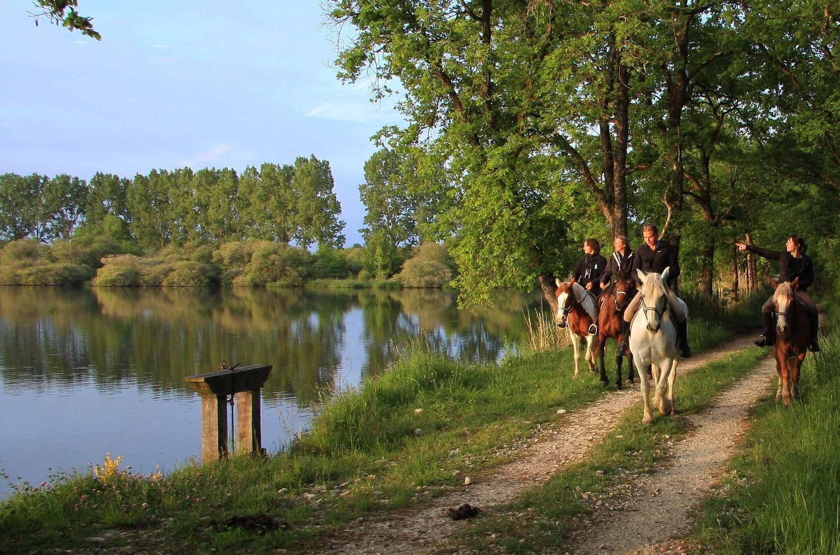 Sentier longeant l'étang de Bellebouche, bordé d'arbres