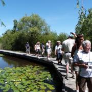 Visite de la réserve naturelle de Chérine